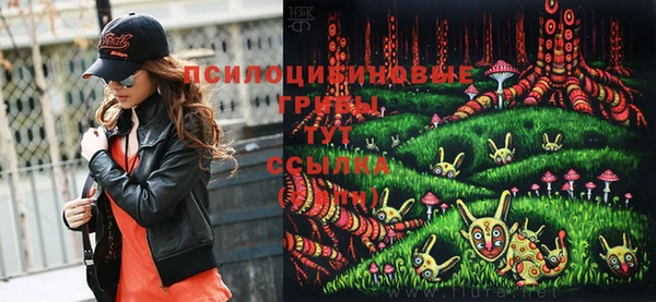 прущие крисы Белокуриха