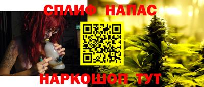 мдпв Гагарин