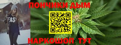 крисы Гай