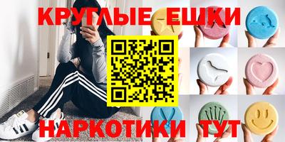 крисы Гай