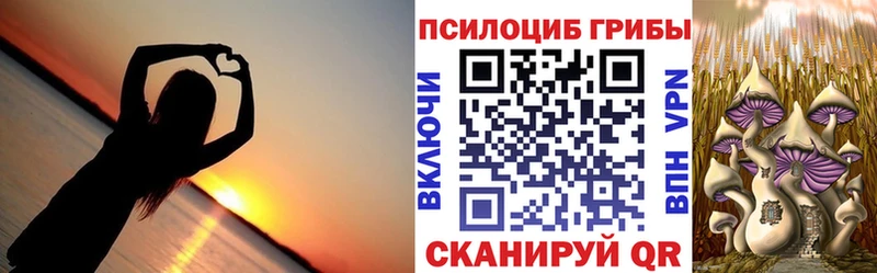 Галлюциногенные грибы Psilocybine cubensis  Сланцы 