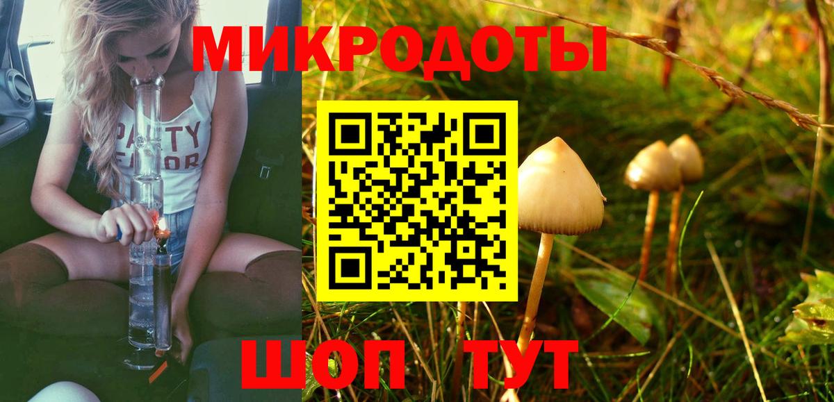 Псилоцибиновые грибы мухоморы Сланцы