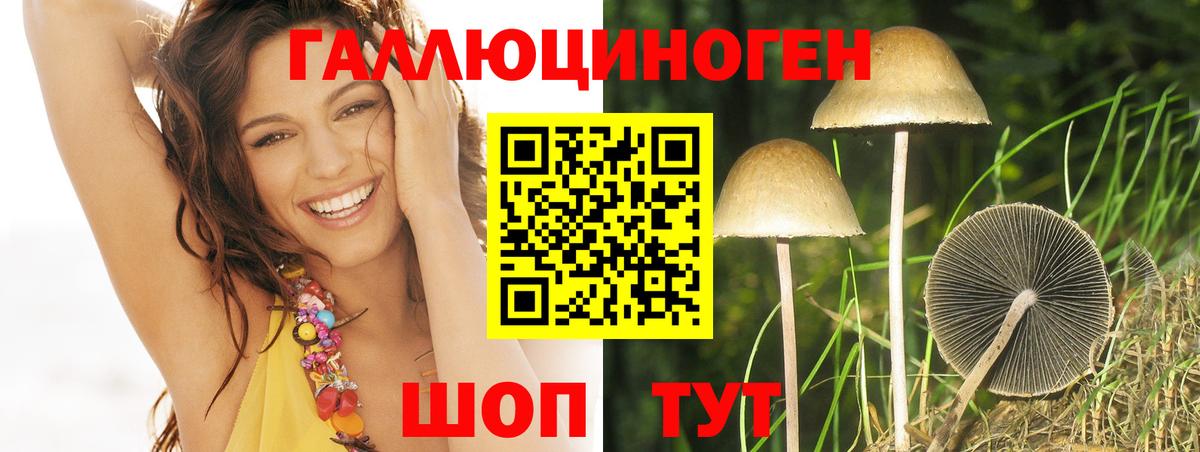 Галлюциногенные грибы Cubensis  где найти наркотики  Сланцы  Вход с VPN 