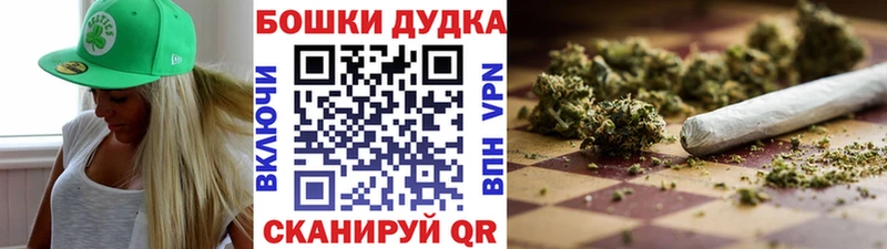 Конопля сатива Сланцы