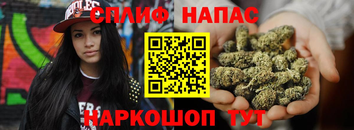 Конопля семена  МАРИХУАНА сатива  Конопля MAZAR  Сланцы  Вход с VPN 